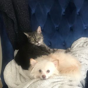 Meet your Posher, Linda